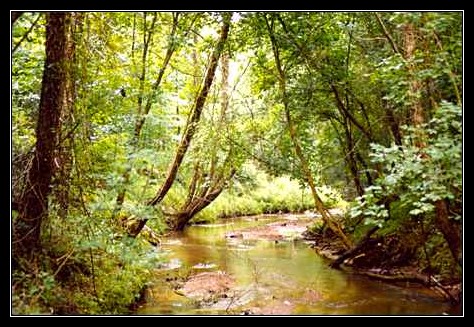 Greenbrier Creek